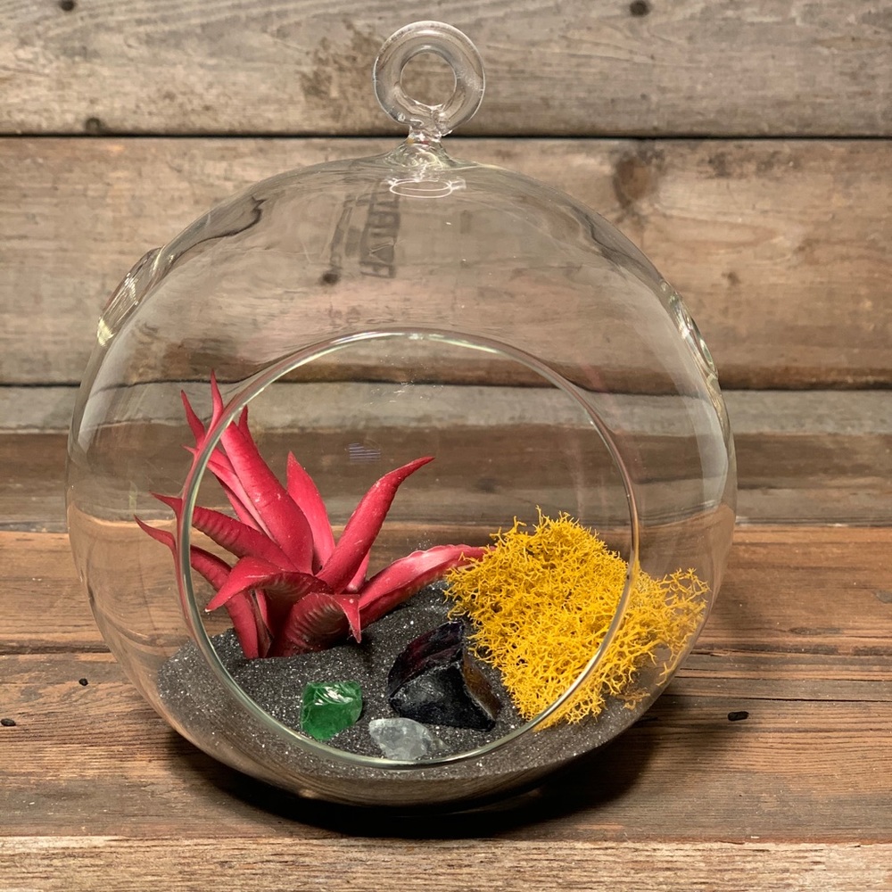 Terrariums!! - Picture 4 of 6